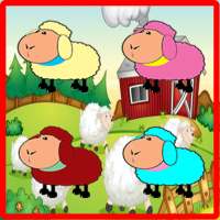 Sheep Farm gry