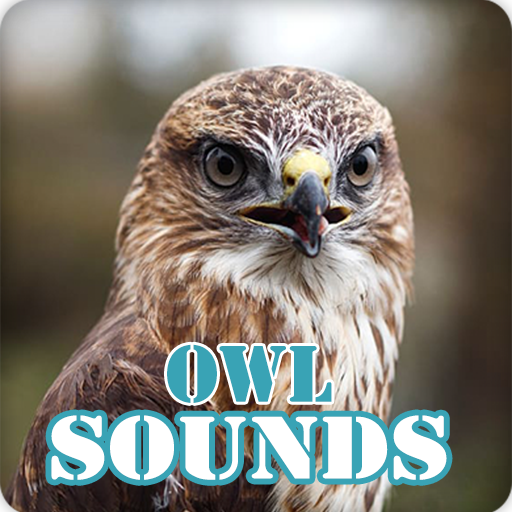 Owl Sounds Ringtone Collection icon