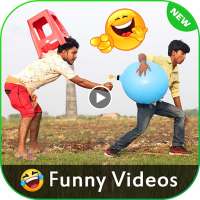 Funny Videos for Whatsapp