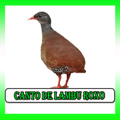 Canto De Lambu Pe Roxo icon