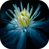 OS 9 Lock screen theme icon