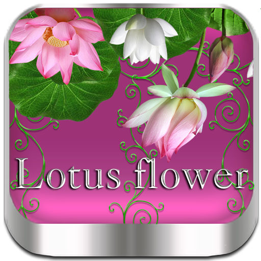Lotus flower Go Launcher theme icon