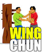 Wing Chun Training icon