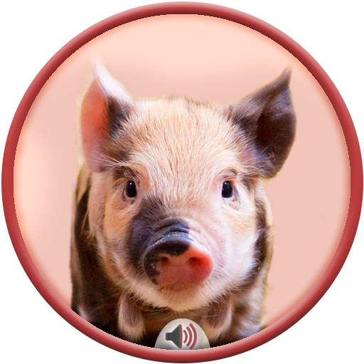Pig Sounds icon