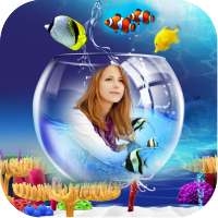 Aquarium Photo Frames : aquari