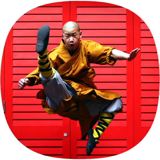 Kung Fu Guide icon