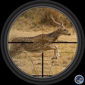 Sniper Deer Hunter 3D icon