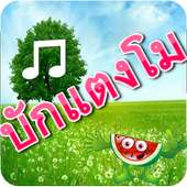 บักแตงโม ไม่ใช้เน็ต  เพลง ใหม่