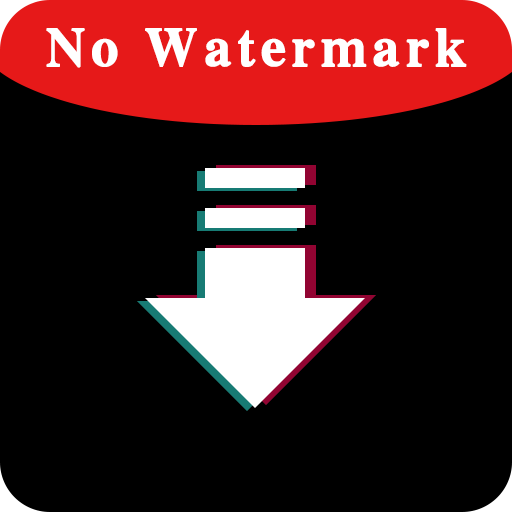 Video Downloader For Tik Tok icon