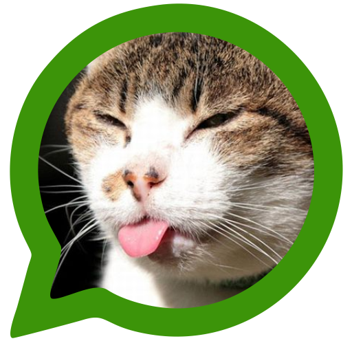 Cats for social networks icon