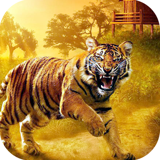 Tiger Hd Wallpapers icon