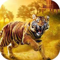 Tiger Hd Wallpapers on 9Apps