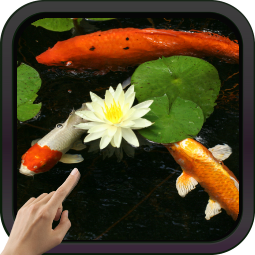 Koi Fish Video Live Wallpaper icon