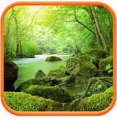 Jungle HD Wallpaper icon