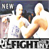 Def Jam Fight For NY Hint icon
