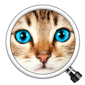 Guess the Pic! 2 icon