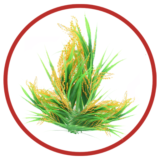 Crop Cutting Experiment icon