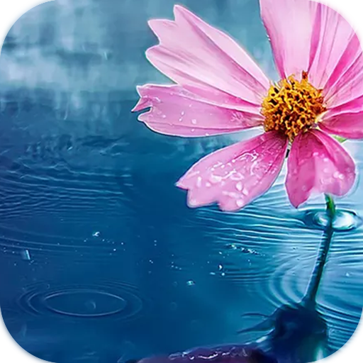 AppLock Theme Flower icon