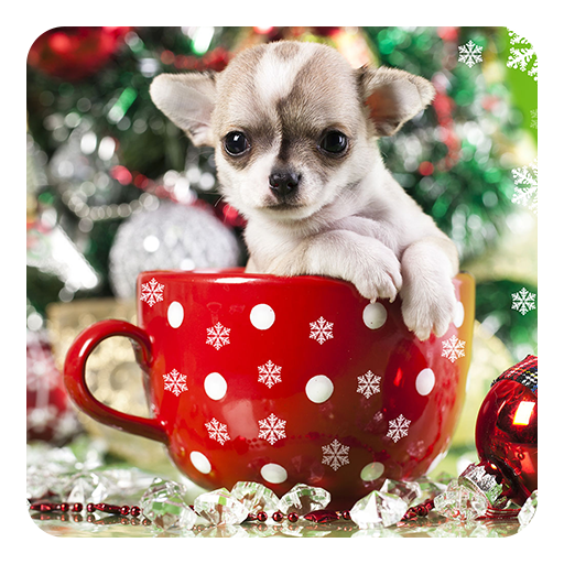 Christmas Animals LWP icon