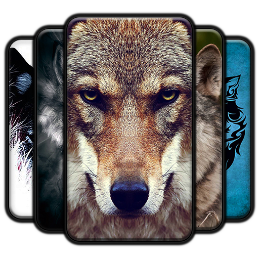 Wolf Wallpapers icon