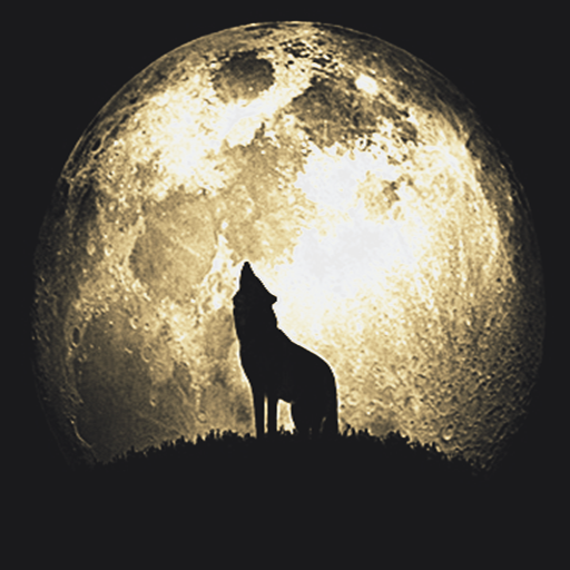 Dj Lobo 2020 أيقونة