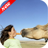 Funny Gif - Funny video status icon