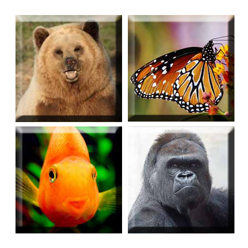 Game Edukasi Anak-Tebak Hewan icon