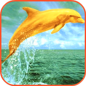 Dolphins Wallpaper icon
