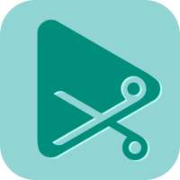 Video Download Player