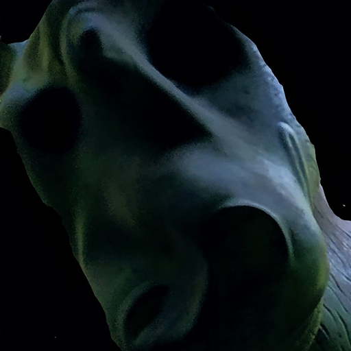 ONE NIGHT WITH A DONKEY icon