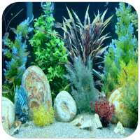 Real Aquarium Wallpaper on 9Apps