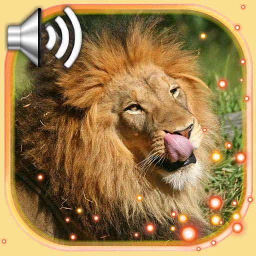 Lion Live Wallpaper icon
