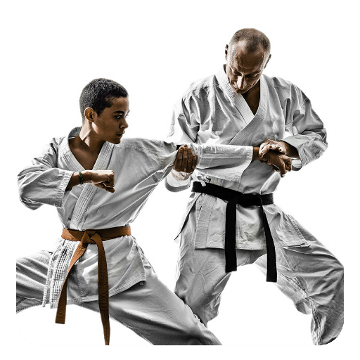 Karate Guide icon