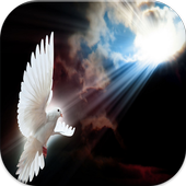 Bird Sound أيقونة