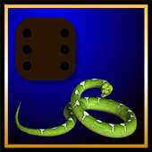 ludo games-snake and ladder
