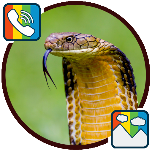 Snake - RINGTONES and WALLPAPERS icon