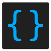 Developer Options icon