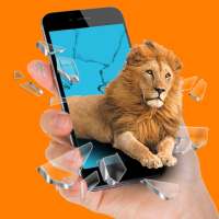 3d Animals camera Augmented Reality