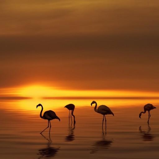 460 слов. Решение иконка