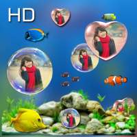 Bubble photo live wallpaper with aquarium