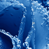 New HD Wallpapers For Xiaomi Redmi Note 5A icon