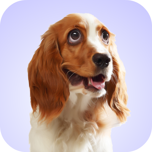 Dog Whining Sounds icon