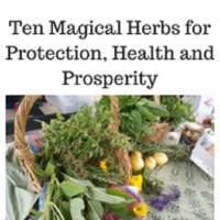 Herbs for protection on 9Apps