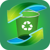 ikon Recover All My Files Pro