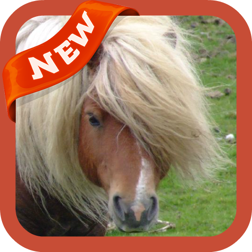 Pony Wallpaper icon