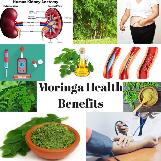 MORINGA HEALTH BENEFITS - THE MIRACLE TREE icon