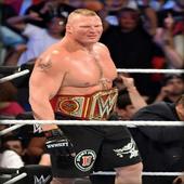 The Beast Incarnate Fight Video - Brock Lesnar icon