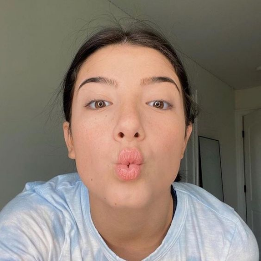 Charli D'Amelio Wallpapers 2020 icon