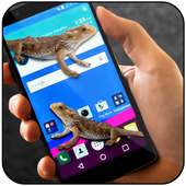 Lizard on phone screen funny joke