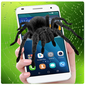 Real Spider On Screen Prank icon